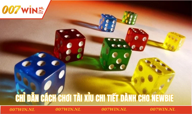 Cách Chơi Tài Xỉu Bách Phát Bách Trúng Cùng 007WIN Năm 2025 2 Chỉ dẫn cách chơi tài xỉu chi tiết dành cho newbie